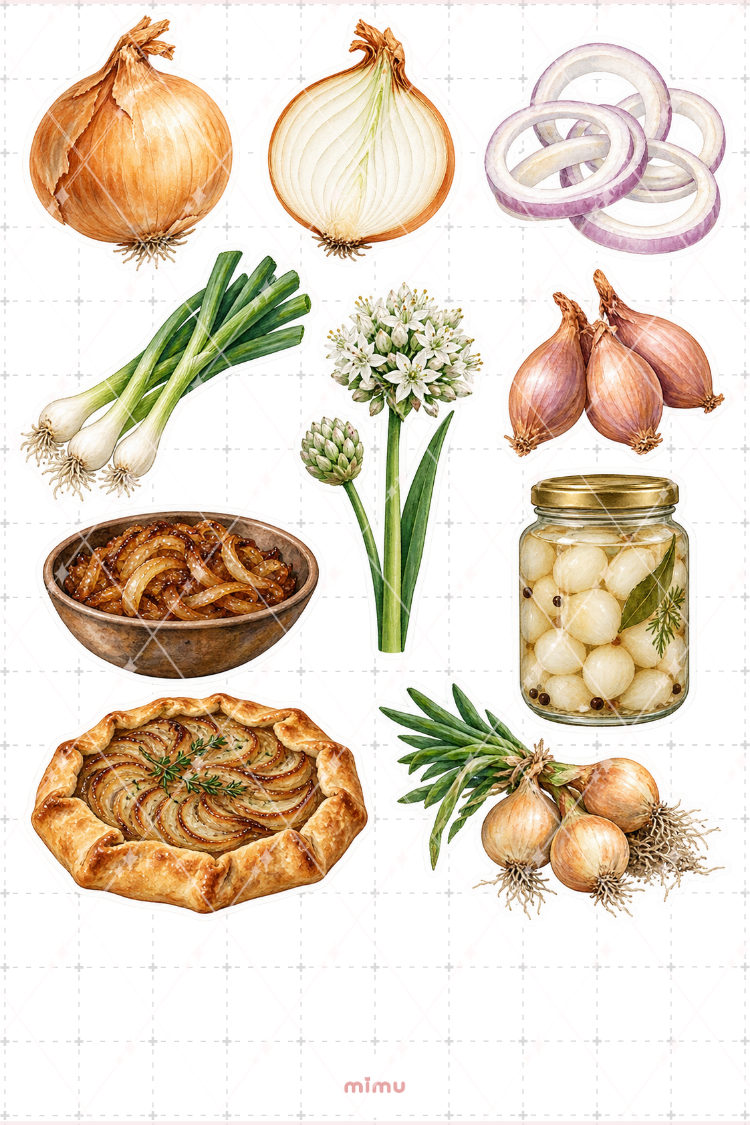 Soğan Onion Sticker Seti Sebze Temalı Dekoratif 2'li Etiket - 2