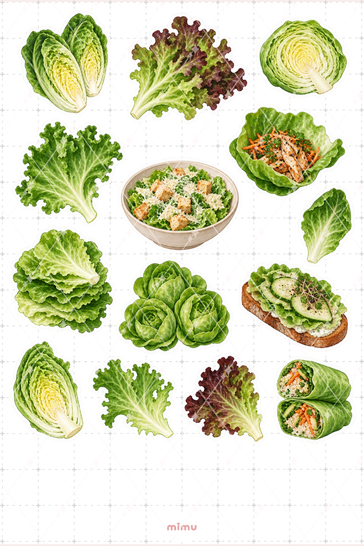 Marul Lettuce Sticker Seti Yeşillik Sebze Temalı Dekoratif 2'li Etiket - 2