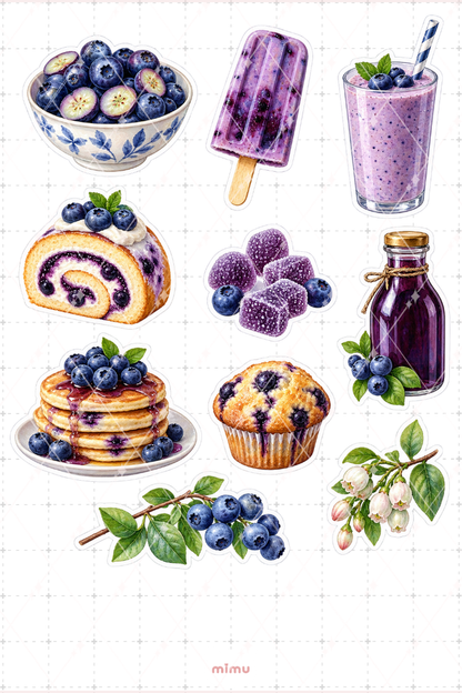 Yaban Mersini Blueberry Sticker Seti Meyve Temalı Dekoratif 2'li Etiket