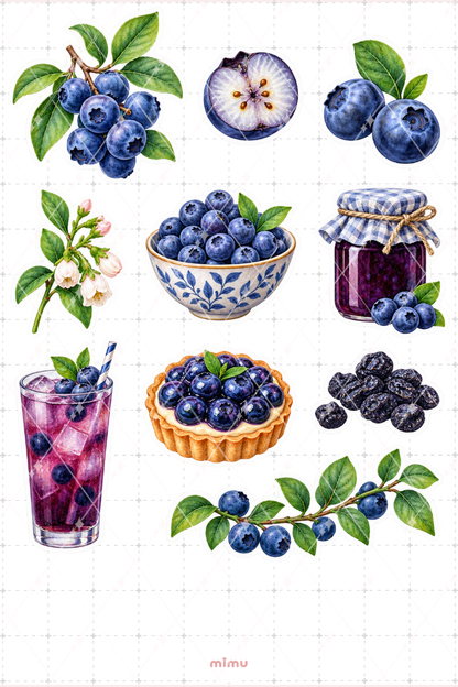 Yaban Mersini Blueberry Sticker Seti Meyve Temalı Dekoratif 2'li Etiket - 2