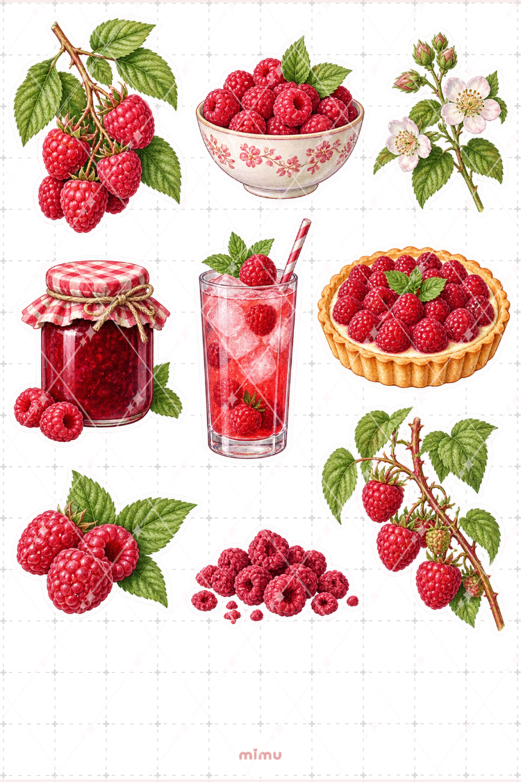 Ahududu Raspberry Sticker Seti Meyve Temalı Dekoratif 2'li Etiket