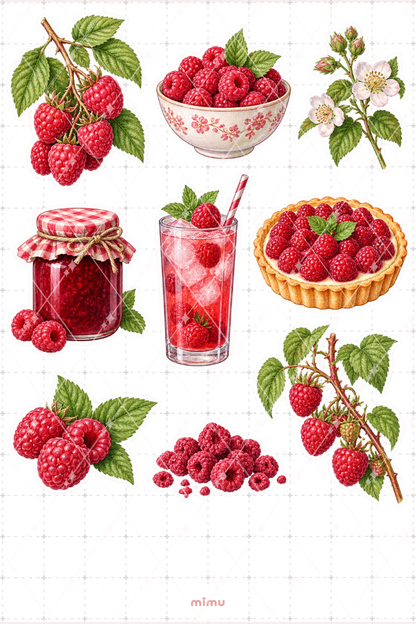 Ahududu Raspberry Sticker Seti Meyve Temalı Dekoratif 2'li Etiket