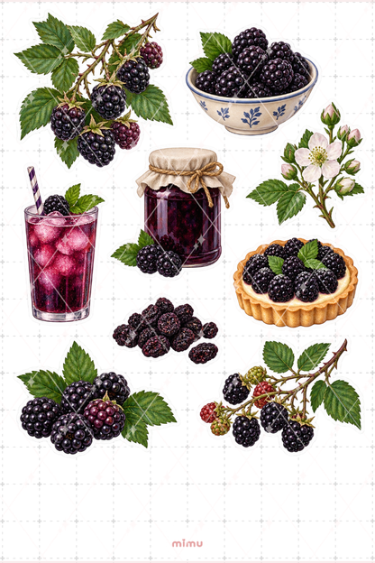 Böğürtlen Blackberry Sticker Seti Meyve Temalı Dekoratif 2'li Etiket - 2