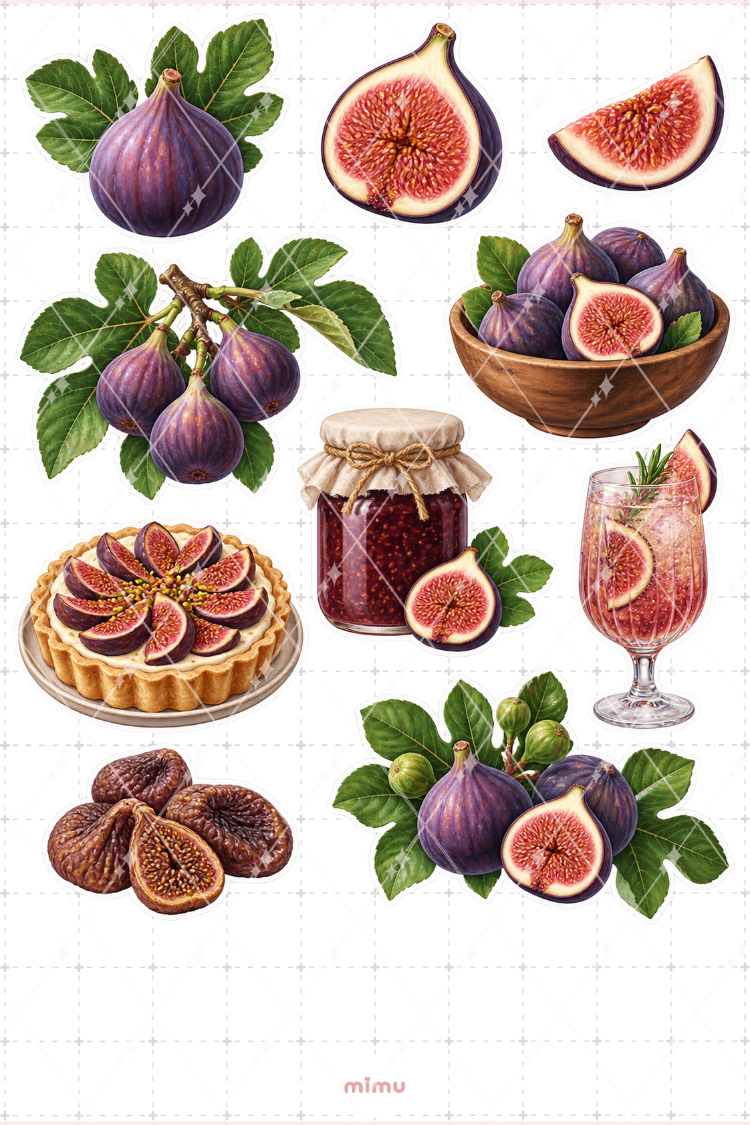 İncir Fig Sticker Seti Meyve Temalı Dekoratif 2'li Etiket