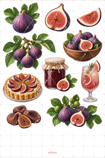 İncir Fig Sticker Seti Meyve Temalı Dekoratif 2'li Etiket