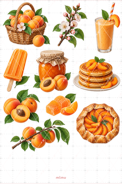 Kayısı Apricot Sticker Seti Meyve Temalı Dekoratif 2'li Etiket