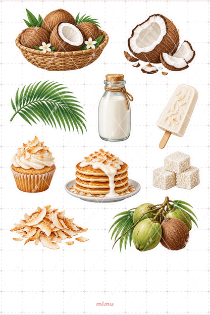 Hindistan Cevizi Coconut Sticker Seti Tropikal Meyve Temalı Dekoratif 2'li Etiket