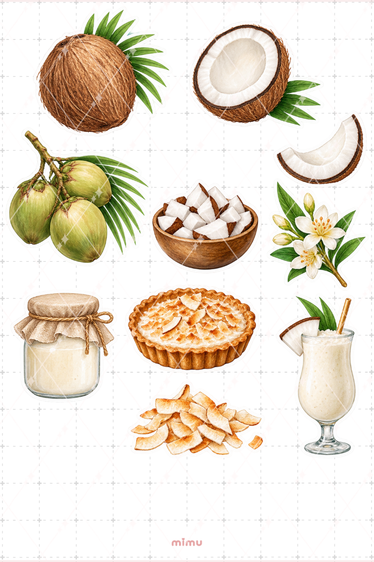 Hindistan Cevizi Coconut Sticker Seti Tropikal Meyve Temalı Dekoratif 2'li Etiket - 2