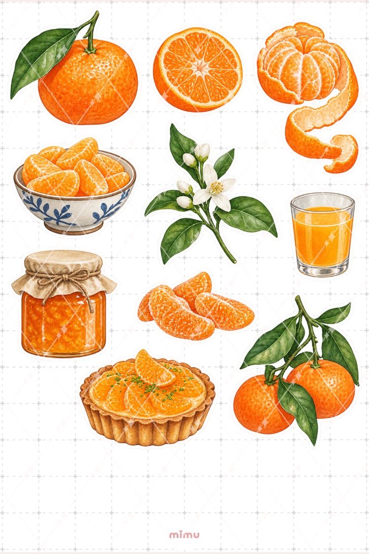 Mandalina Mandarin Sticker Seti Narenciye Meyve Temalı Dekoratif 2'li Etiket