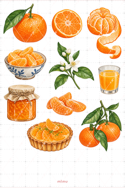 Mandalina Mandarin Sticker Seti Narenciye Meyve Temalı Dekoratif 2'li Etiket