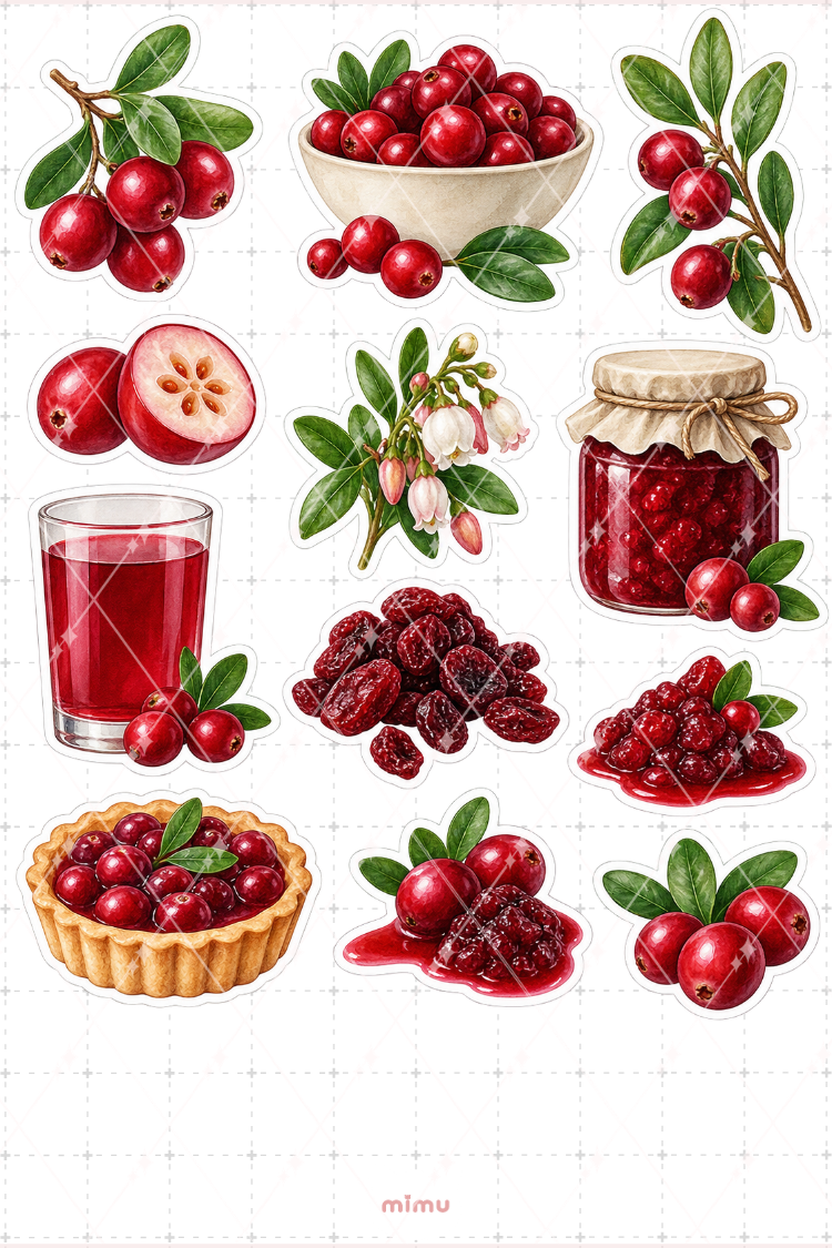 Turna Yemişi Cranberry Sticker Seti Meyve Temalı Dekoratif 2'li Etiket - 2