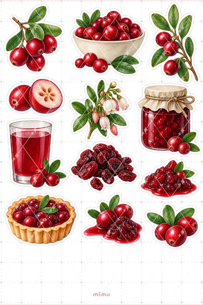 Turna Yemişi Cranberry Sticker Seti Meyve Temalı Dekoratif 2'li Etiket - 2
