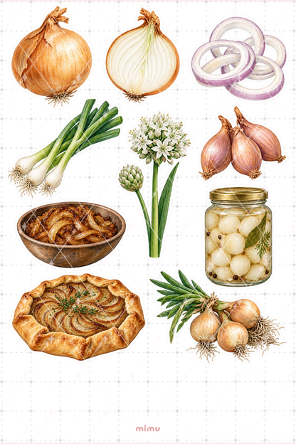 Soğan Onion Sticker Seti Sebze Temalı Dekoratif 2'li Etiket - 2