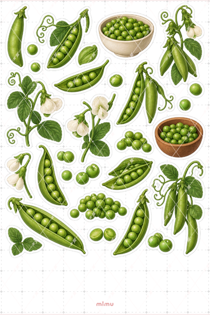 Bezelye Peas Sticker Seti Sebze Temalı Dekoratif 2'li Etiket - 2
