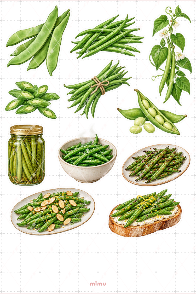 Taze Fasulye Green Beans Sticker Seti Sebze Temalı Dekoratif 2'li Etiket