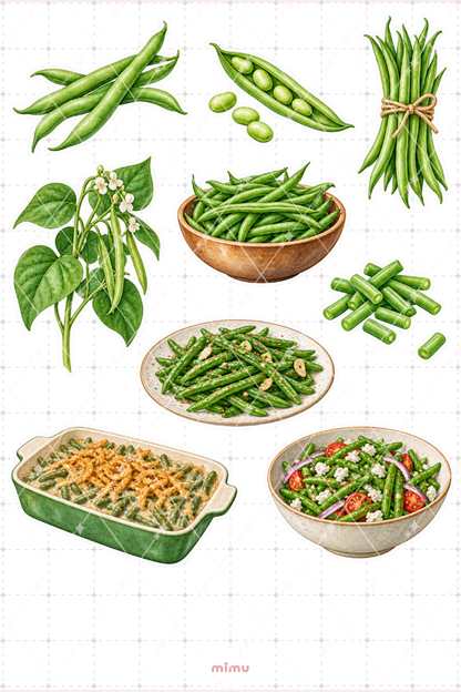 Taze Fasulye Green Beans Sticker Seti Sebze Temalı Dekoratif 2'li Etiket - 2