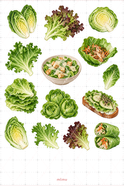 Marul Lettuce Sticker Seti Yeşillik Sebze Temalı Dekoratif 2'li Etiket - 2