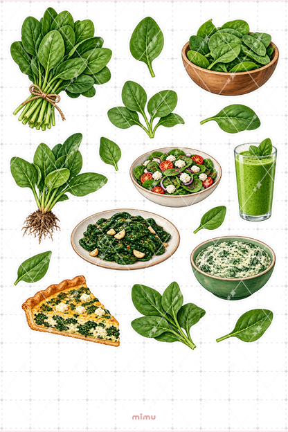 Ispanak Spinach Sticker Seti Yeşillik Sebze Temalı Dekoratif 2'li Etiket - 2