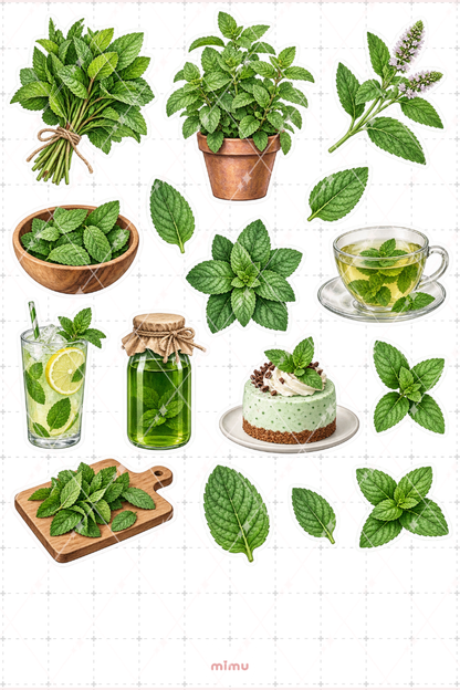 Nane Mint Sticker Seti Aromatik Bitki Botanik Temalı Dekoratif 2'li Etiket - 2