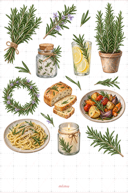Biberiye Rosemary Sticker Seti Aromatik Bitki Botanik Temalı Dekoratif 2'li Etiket
